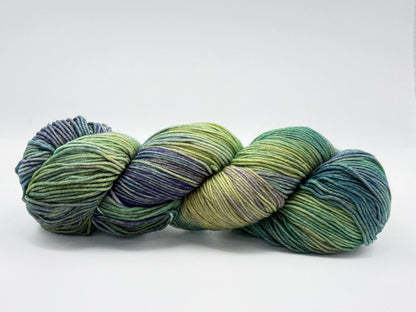 Ultimate Sock malabrigo