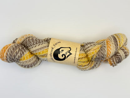 Feederbrook Farm Entropy DK Weight Wool Yarn