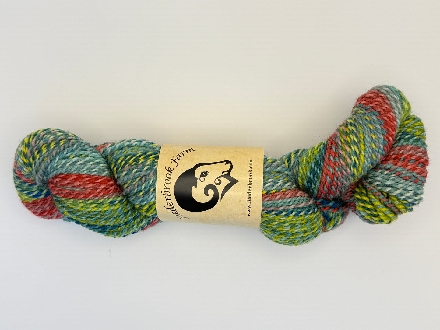 Feederbrook Farm Entropy DK Weight Wool Yarn
