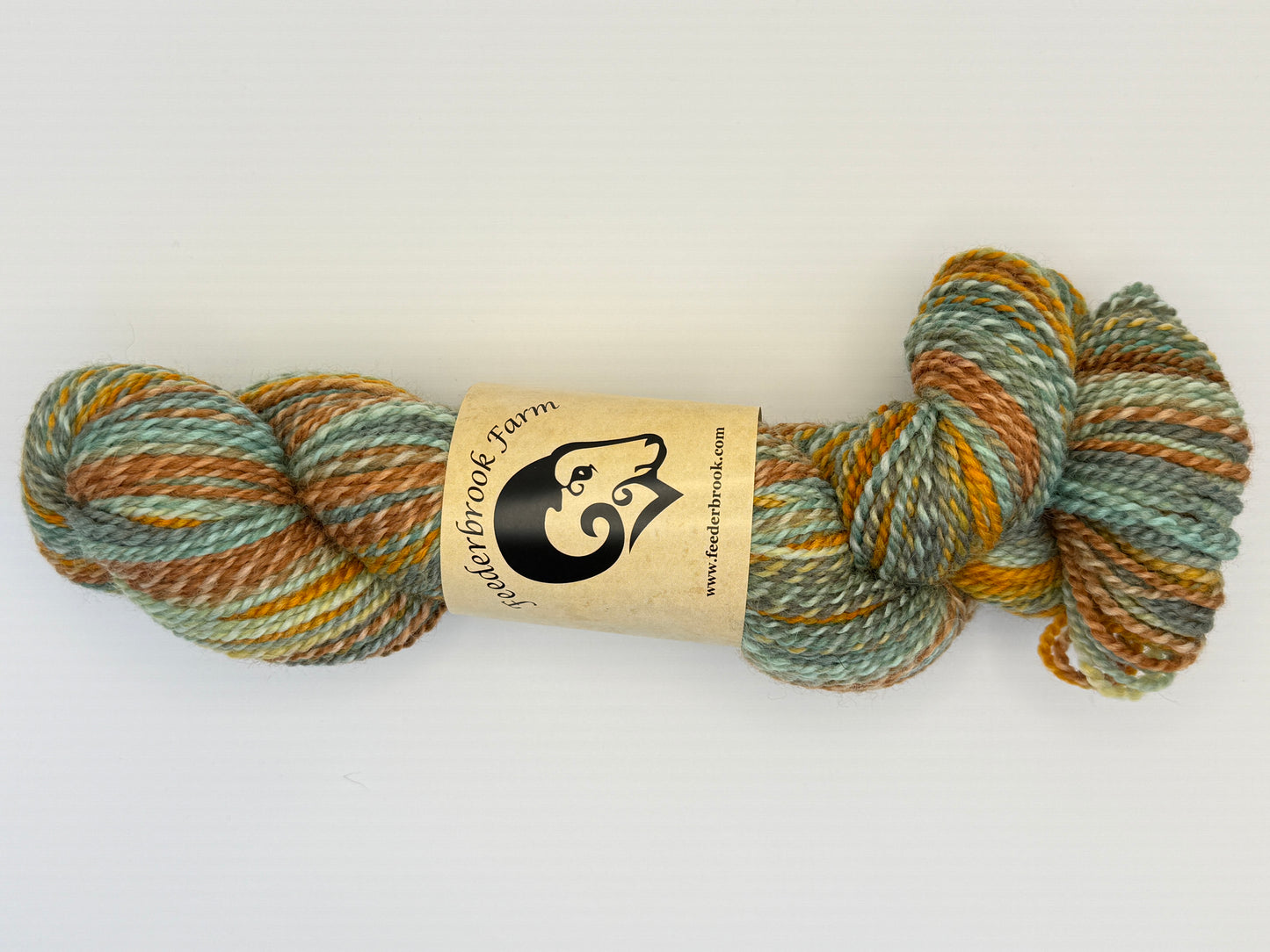 Feederbrook Farm Entropy DK Weight Wool Yarn