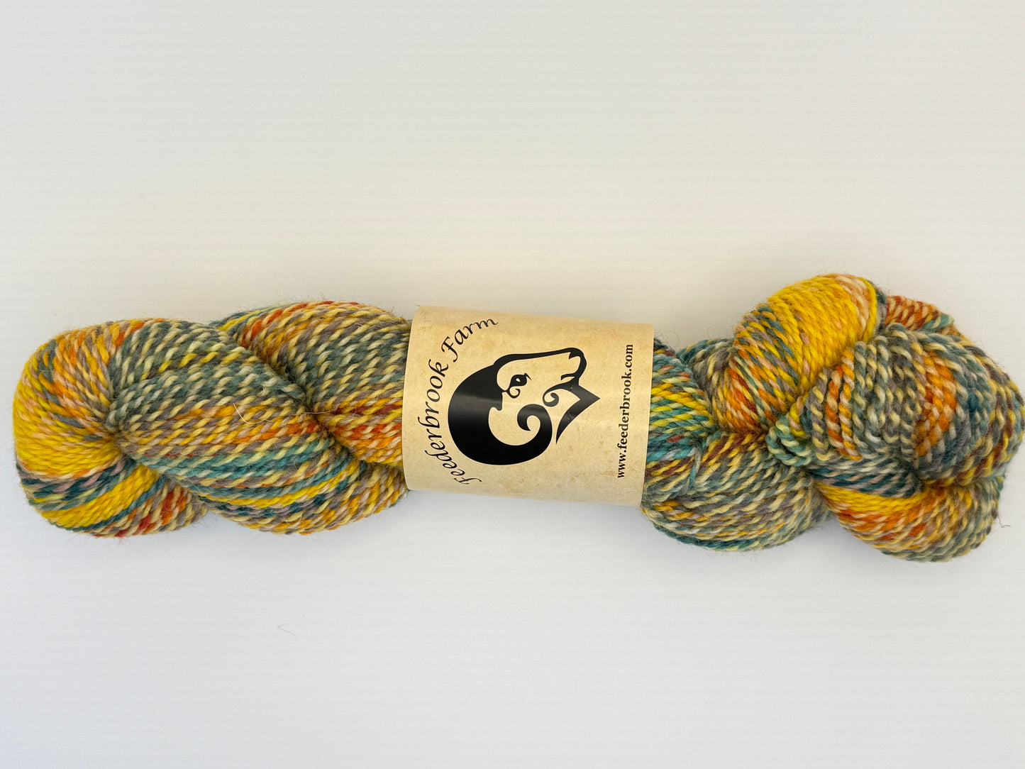 Feederbrook Farm Entropy DK Weight Wool Yarn