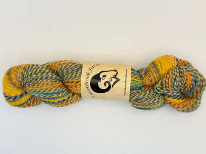 Feederbrook Farm Entropy DK Weight Wool Yarn