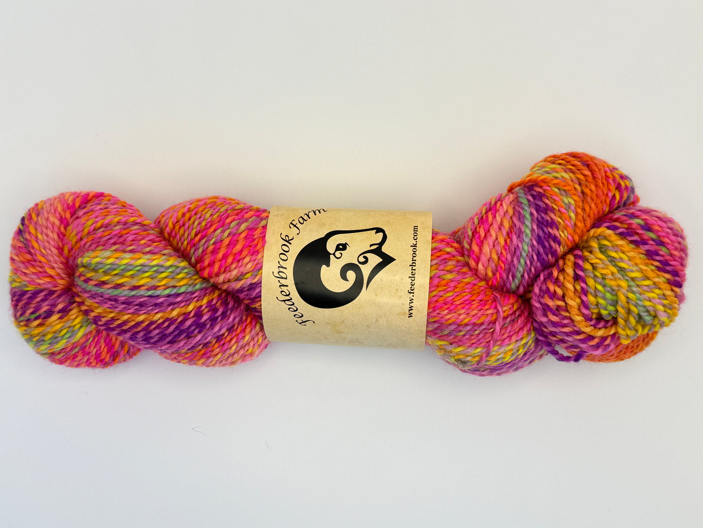 Feederbrook Farm Entropy DK Weight Wool Yarn