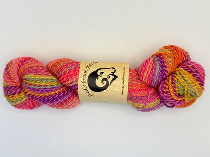 Feederbrook Farm Entropy DK Weight Wool Yarn