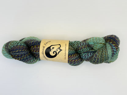 Feederbrook Farm Entropy DK Weight Wool Yarn
