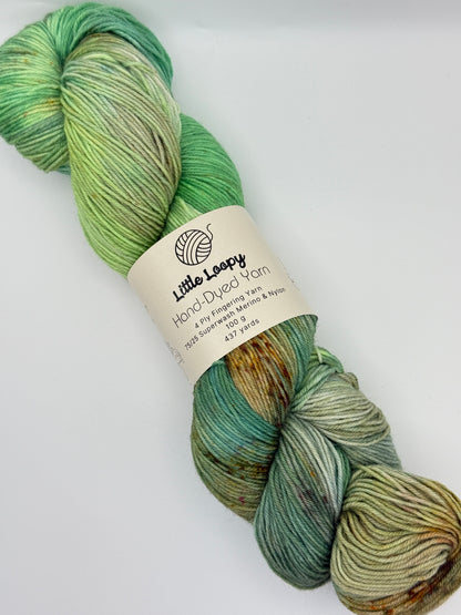 Little Loopy Fingering Weight Superwash Wool Yarn