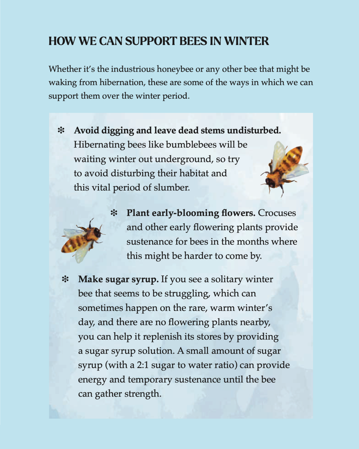 Pleasures of Wintering